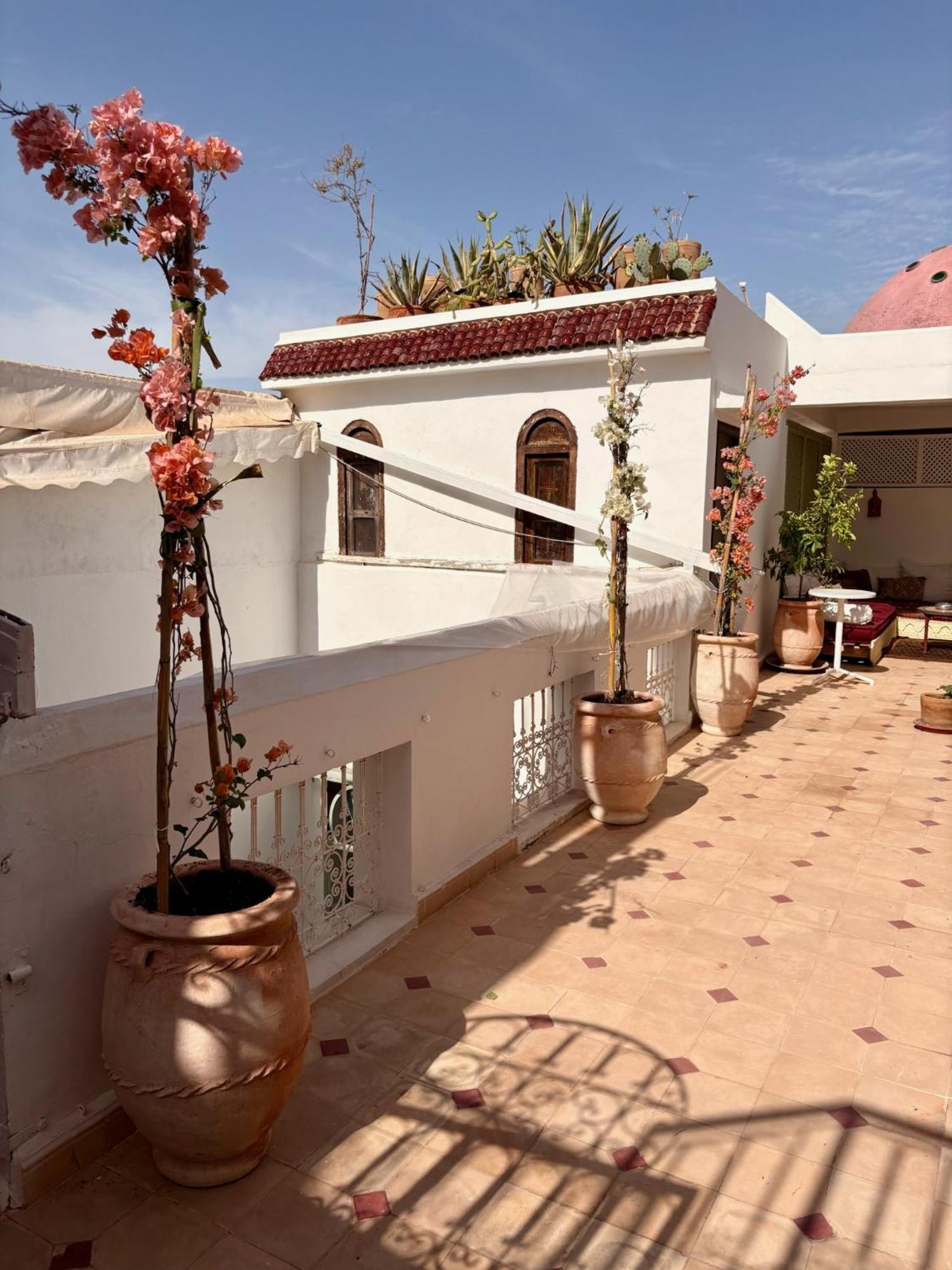 Riad La Cigale Marrakesh Exterior photo